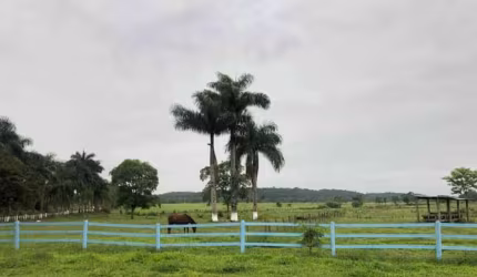 Fazenda para Venda em Registro, Matão de Dentro Inv