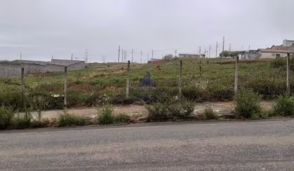 Terreno a venda com 1500m² com pequeno declive lateral esquerda.