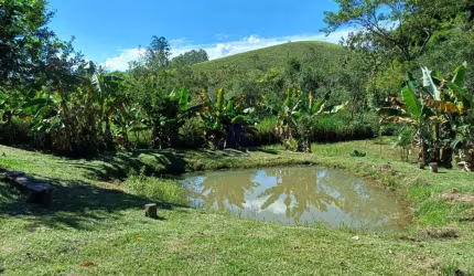 Sítio à Venda em São Luiz do Paraitinga-SP  Bairro do Turvo  sala, cozinha, 1 quarto, 1 banheiro, 4.100,00 m2 de área
