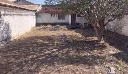 Terreno inteiro Jardim Independência