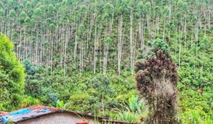 Sitio Venda em Redenção da Serra, podendo fracionar, com 182.000m².