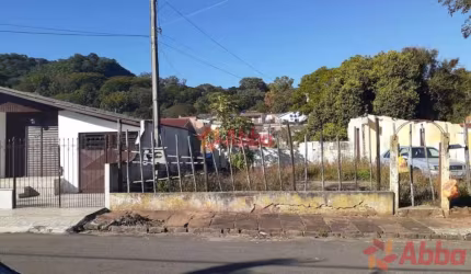Terreno para venda- Perpétuo Socorro - TE1239