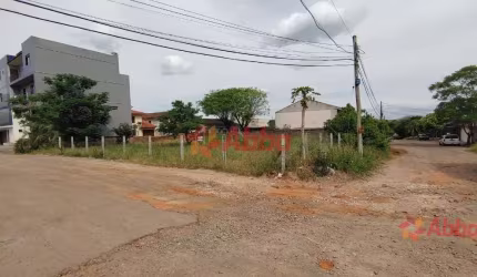 2 LOTES CONJUNTAMENTE NO PARQUE DOM ANTÔNIO REIS - TE1000