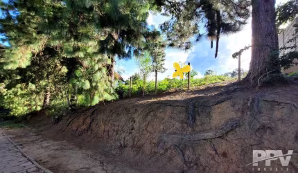 Terreno para Venda em Teresópolis, Fazenda Suiça