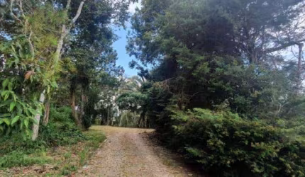 Terreno para Venda em Teresópolis, Fazenda Suiça