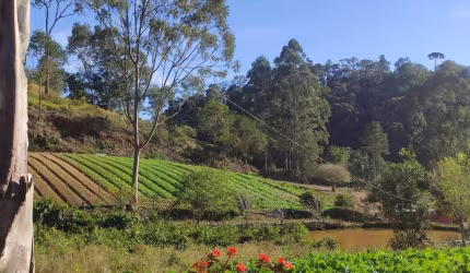 Sítio para Venda em Teresópolis, Vieira