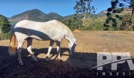 Sítio para Venda em Teresópolis, Fazenda Alpina, 2 dormitórios, 1 banheiro
