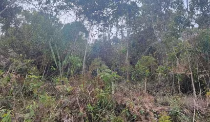 Terreno para Venda em Teresópolis, Granja Mafra