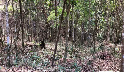 Lote em Condomínio Fechado para Venda em Teresópolis, Albuquerque