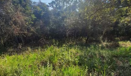 VENDA | TERRENO PARA CHÁCARA CERCADO | ACEITA PERMUTA | 1500 m² | JARINU