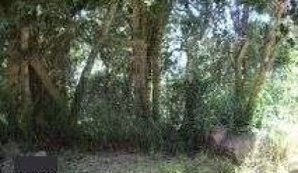 Terreno para Venda - 0m², 0 dormitórios, Belém Novo