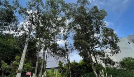 Terreno à venda Santa Catarina Caxias do Sul/RS