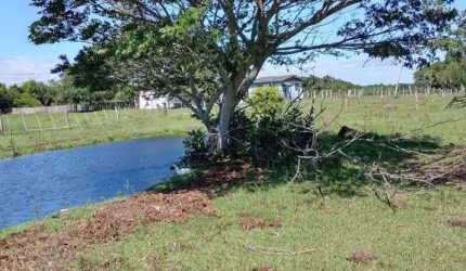 Excelente Sítio na Capital de 6.737,57 m2, Bairro Lami, Porto Alegre RS