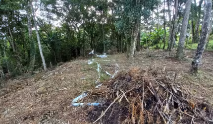 Terreno  localizado em loteamento rural