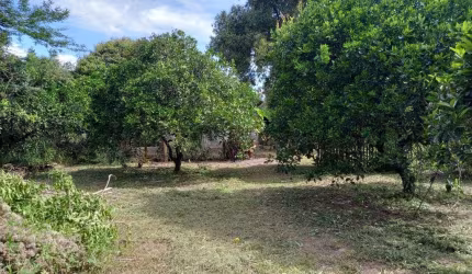 Sitio Estrada do Socorro Bairro Socorro Municipio de Portão RS