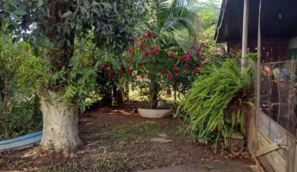 Chácara no bairro Bosque em capela de Santana -RS