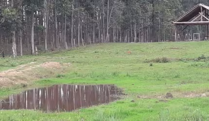 Sitio em Lomba Grande Novo Hamburgo - RS