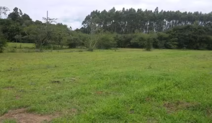 Sitio 8,0 Hectares em Triunfo -  RS