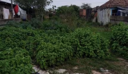 Terreno Bairro Niterói Canoas - RS