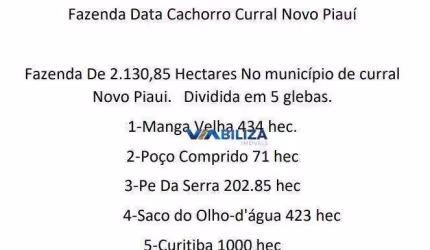 Fazenda no Piaui 2.130 hec para extração de ferro e energia eólica