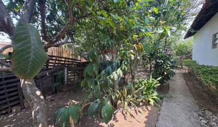 A chácara da avenida