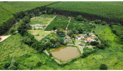 SITIO DE 4,7 HECTARES PARA VENDA  COM CERTIFICADO ORGANICO PARA PRODUÇÃO  DE CAFE EM SERRA NEGRA S.P.