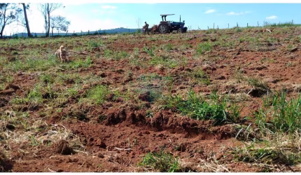 imóvel rural  à venda de 88.000 m2 , com  área construída de 290 ac em Campestre - Minas Gerais