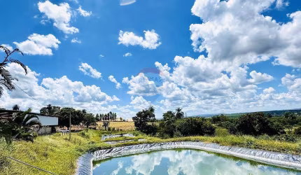 Vende-se Sítio 5 alqueires Itaqui - Mogi Guaçu/SP