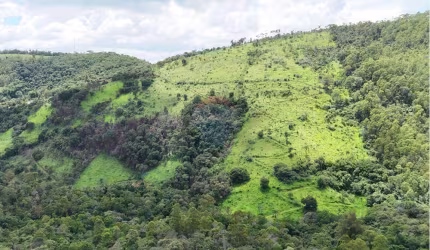 SÍTIO COM 20 HECTARES EM MONTE ALEGRE DO SUL