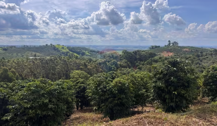 SÍTIO 87725 M2 , 01 CASA DE CASEIRO COM SALA, COZINHA, BANHEIRO E ÁREA COM FOGÃO A LENHA E LAVANDERIA, CASA COM 2 QUARTOS ,SALA, COZINHA