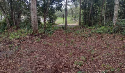 Terreno Cidade Jardim Coronel em Itanhaém