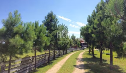 Sítio para Venda - 90m², 3 dormitórios, Lami