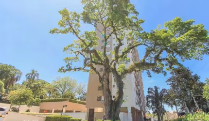 Apartamento para Venda - 59.91m², 2 dormitórios, sendo 1 suites, 1 vaga - Teresó