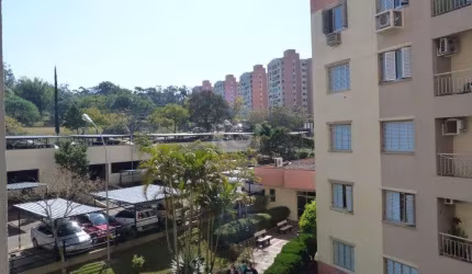 Apartamento para Venda - 68.4m², 3 dormitórios, 1 vaga - Jardim Carvalho