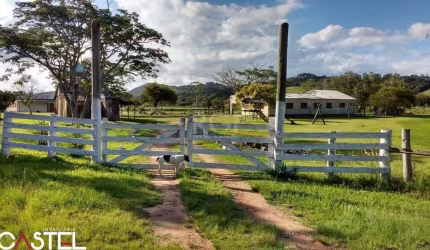 Sítio para Venda - 10000m², 0 dormitórios, Passo Fundo