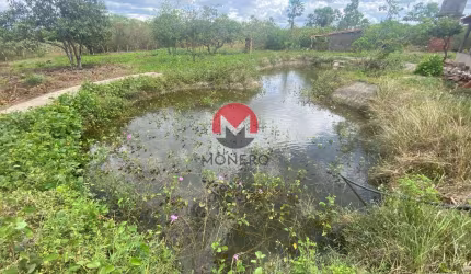 PROPRIEDADE com 06 HECTARES a 300 METROS DA RODOVIA CE 156 apenas 1H de FORTALEZA | Catuana, Caucaia-CE