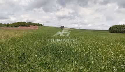 ÁREA RURAL - APROVEITAMENTO 100% - PLANTIO SOJA - FLORESTA / PR