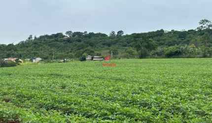 Chácara à venda - lote - Distrito Água Boa