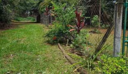 Terreno à Venda em Valparaíso II, São Carlos - R$ 420.000
