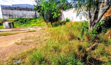 Terreno para aluguel com 1.250 m², em Cidade Satélite Íris, Campinas