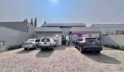 Casa para aluguel com 455 m², 1 quarto 5 vagas em Nova Campinas, Campinas