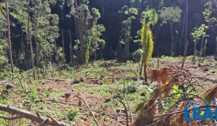 TERRENO EM CONDOMÍNIO - PORTÃO - SP