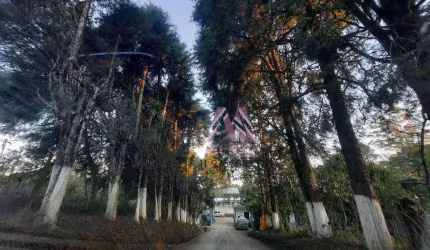 Terreno à venda, 7000 m² por R$ 250.000,00 - Taquacetuba - São Bernardo do Campo/SP