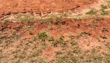 Terreno à venda, 350 m² - Floratta Condomínio Residencial - Bauru/SP