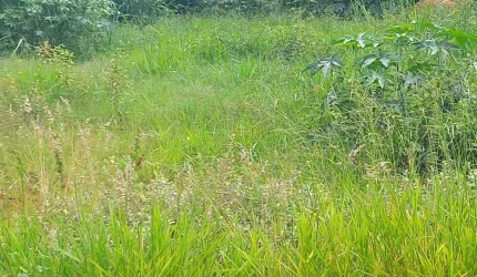 Terreno à venda, 750 m² - Estância Balneária Águas Virtuosas - Bauru/SP