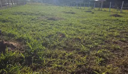 Terreno a venda no Jardim Ibituruna, Piratininga-SP