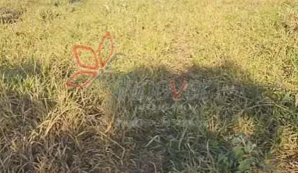 Terreno, Jardim Ibituruna, Piratininga-SP.