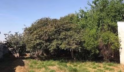 Terreno à venda, 544 m²- Bauru/SP