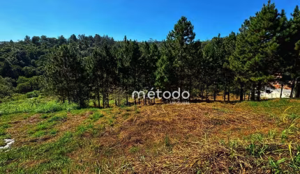 Terreno à venda, 10068 m² por R$ 295.000,00 - Ponte Alta - Guararema/SP