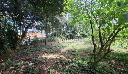 Chácara com 3 dormitórios à venda por R$ 1.300.000,00 - Chacaras Guararema - Jacareí/SP